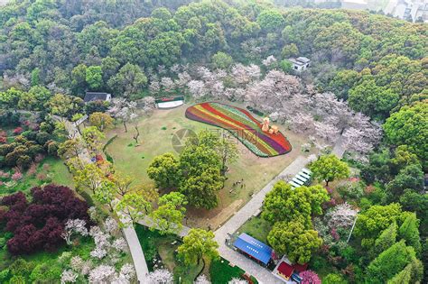 上方山|苏州上方山国家森林公园攻略,苏州上方山国家森林公园门票